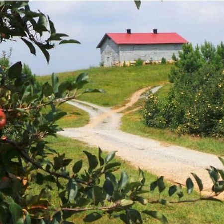 Close To Lake Blue Ridge, Hot Tub, Swing Beds Morganton Екстериор снимка